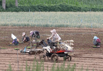 Read more about the article 농림축산식품부, 농어촌 기본소득으로 지방의 삶을 바꾸다