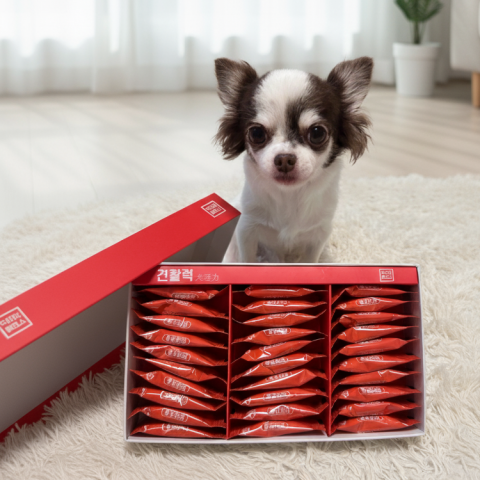 Read more about the article 반려견 건강 위한 새로운 루틴, 견활력